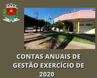 CONTAS ANUAIS DE GESTÃO - EXERCÍCIO DE 2020