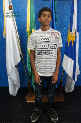 Wennver Alves Pedroso