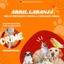 ABRIL LARANJA - MÊS DE PREVENÇÃO CONTRA A CRUELDADE ANIMAL 