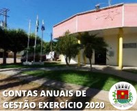 ESTÁ DISPONÍVEL PDF COM AS CONTAS ANUAIS DE GESTÃO - EXERCÍCIO 2020