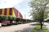 Junior Federice sugere a construção de faixas de pedestres elevadas em frente das escolas