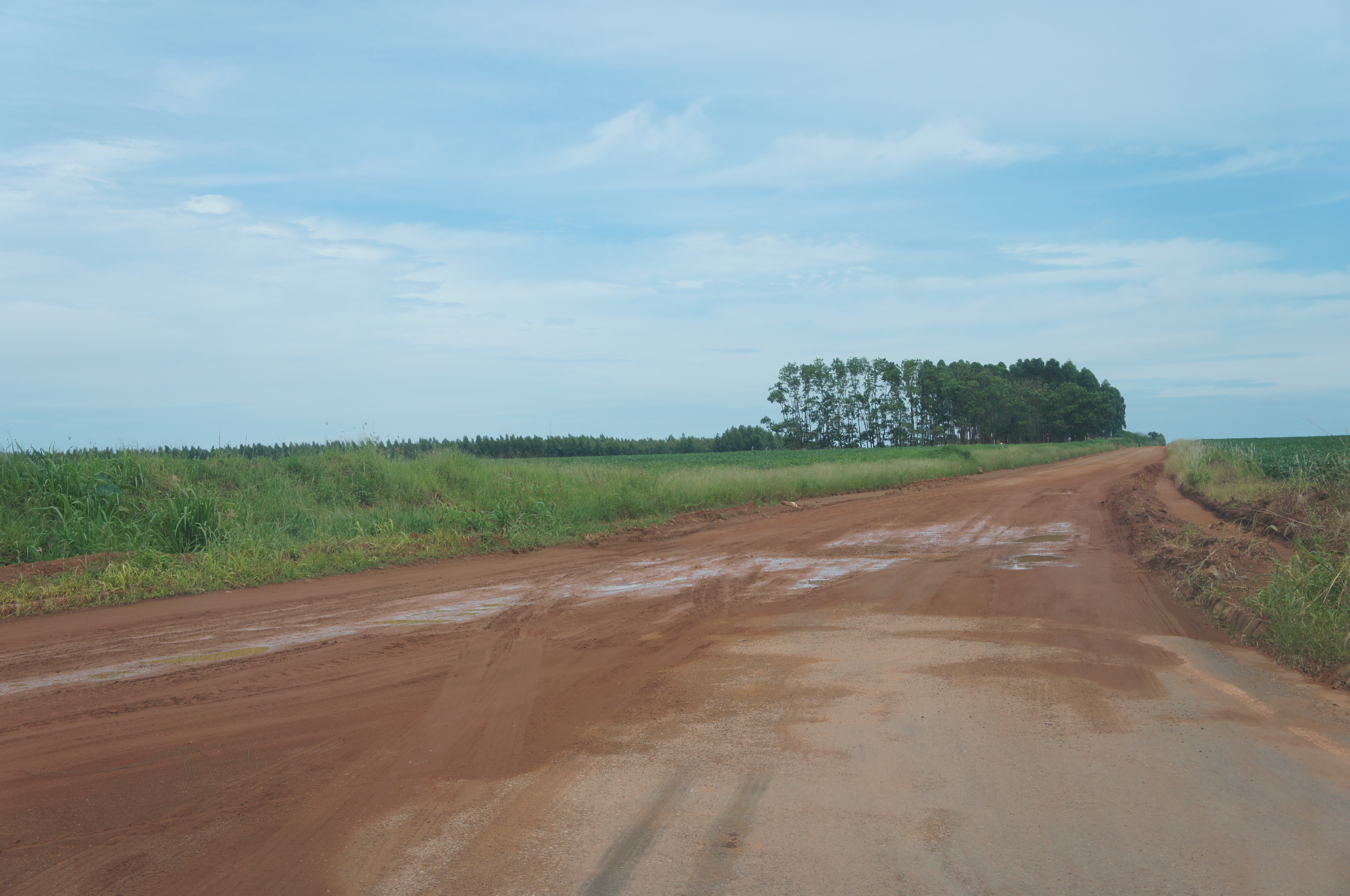 Marcos Vargas cobra a limpeza da perimetral Poços de Caldas