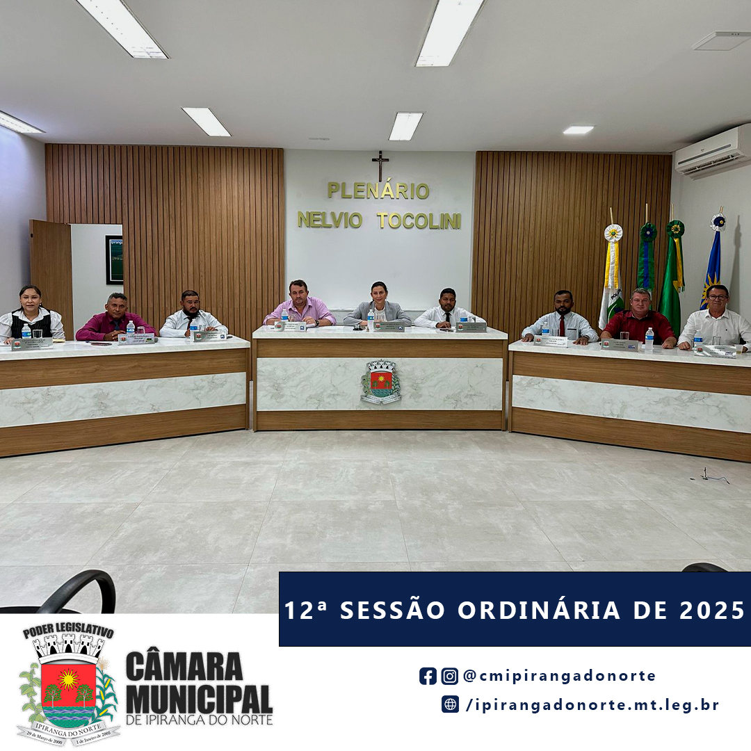 12ª SESSÃO ORDINÁRIA DE 2025