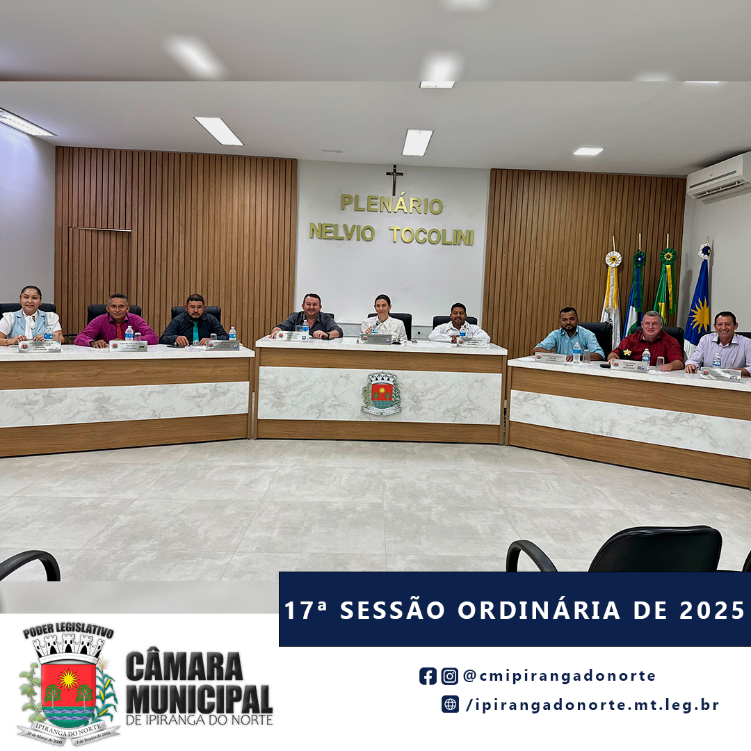 17ª SESSÃO ORDINÁRIA DE 2025