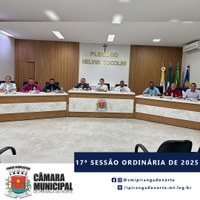 17ª SESSÃO ORDINÁRIA DE 2025