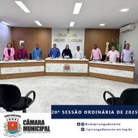 20ª SESSÃO ORDINÁRIA DE 2025