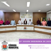 25ª SESSÃO ORDINÁRIA DE 2025