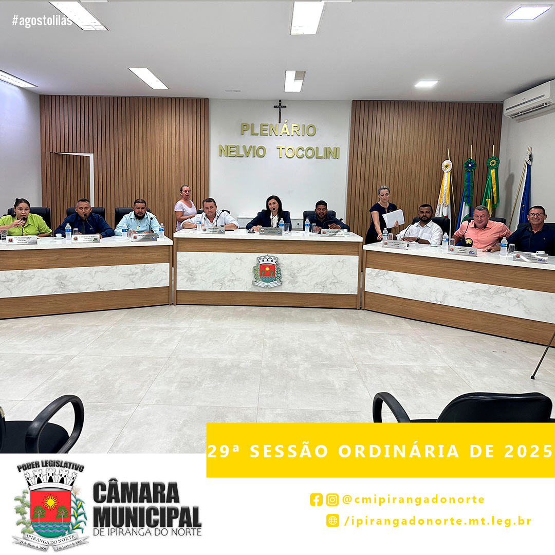 29ª SESSÃO ORDINÁRIA DE 2025