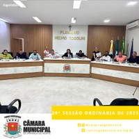 29ª SESSÃO ORDINÁRIA DE 2025