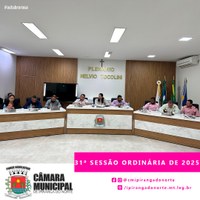 31ª SESSÃO ORDINÁRIA DE 2025