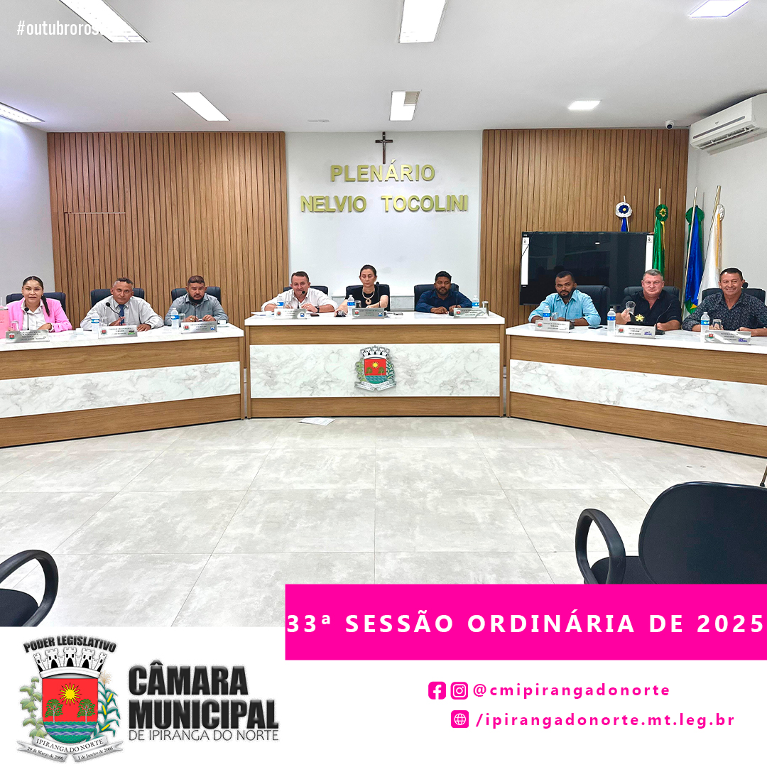 33ª SESSÃO ORDINÁRIA DE 2025