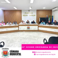 33ª SESSÃO ORDINÁRIA DE 2025