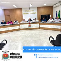 37ª SESSÃO ORDINÁRIA DE 2025