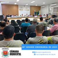 38ª SESSÃO ORDINÁRIA DE 2025