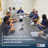 PARLAMENTARES ANALISAM PROJETOS E INDICAÇÕES DA SESSÃO ORDINÁRIA