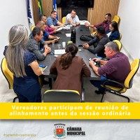 REUNIÃO DE ALINHAMENTO ANTES DA 27ª SESSÃO