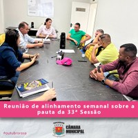REUNIÃO DE ALINHAMENTO SEMANAL ANTES DA 33ª SESSÃO ORDINÁRIA DE 2025