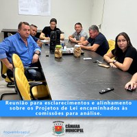 REUNIÃO PARA ESCLARECIMENTOS E ALINHAMENTO DE PROJETOS DE LEI