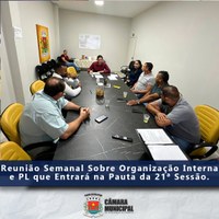 REUNIÃO SEMANAL SOBRE PL QUE ENTRARÁ NA PAUTA DA 21ª SESSÃO E ORGANIZAÇÃO INTERNA DA CÂMARA