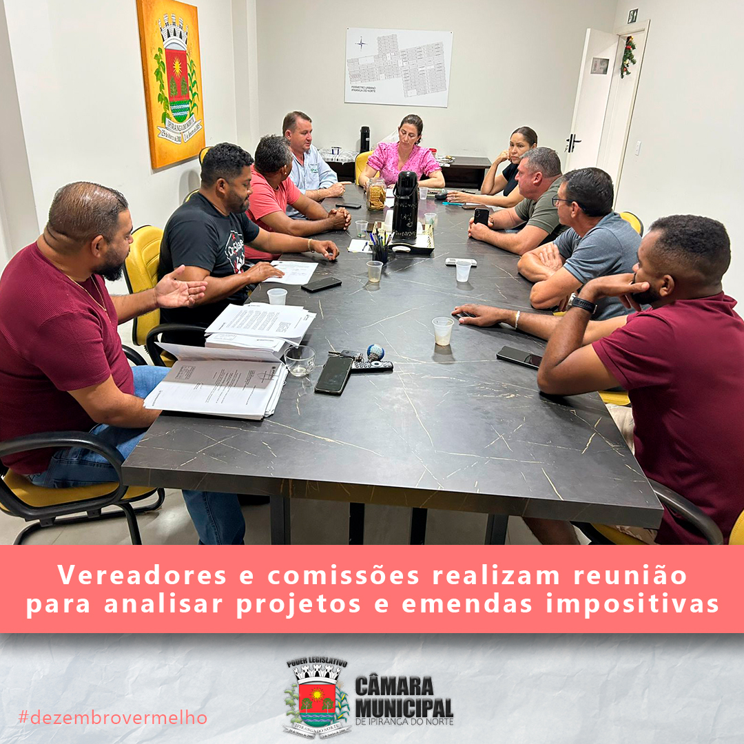 VEREADORES E COMISSÕES REALIZAM REUNIÃO PARA ANALISAR PROJETOS E EMENDAS IMPOSITIVAS