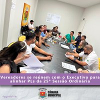 VEREADORES SE REÚNEM COM O EXECUTIVO PARA TRATAR DE ASSUNTOS QUE ENTÃO NA PAUTA DA 25ª SESSÃO.