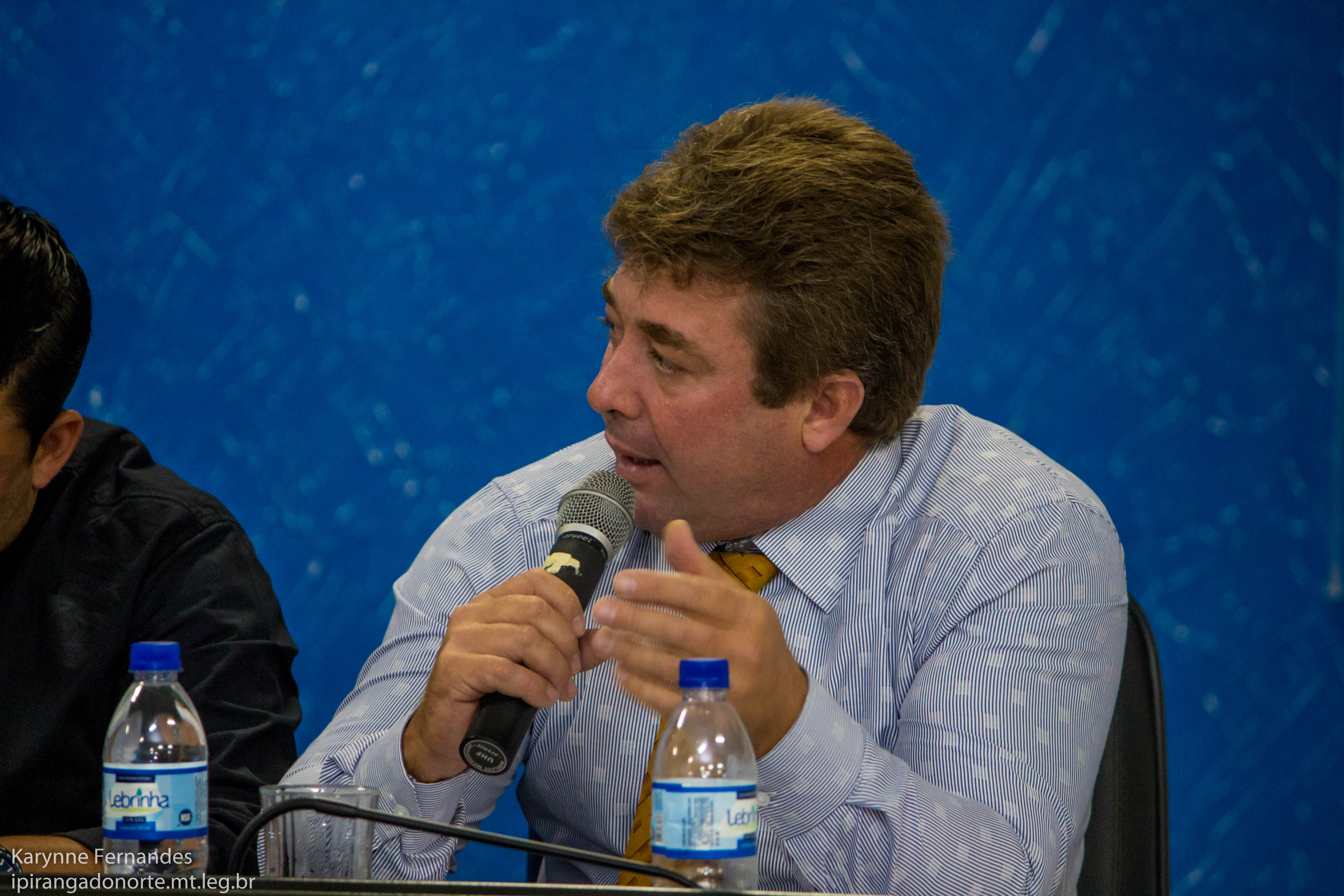 Sandro Alessi pede substituição das muretas de concreto da Ponte do Rio Matrinchã