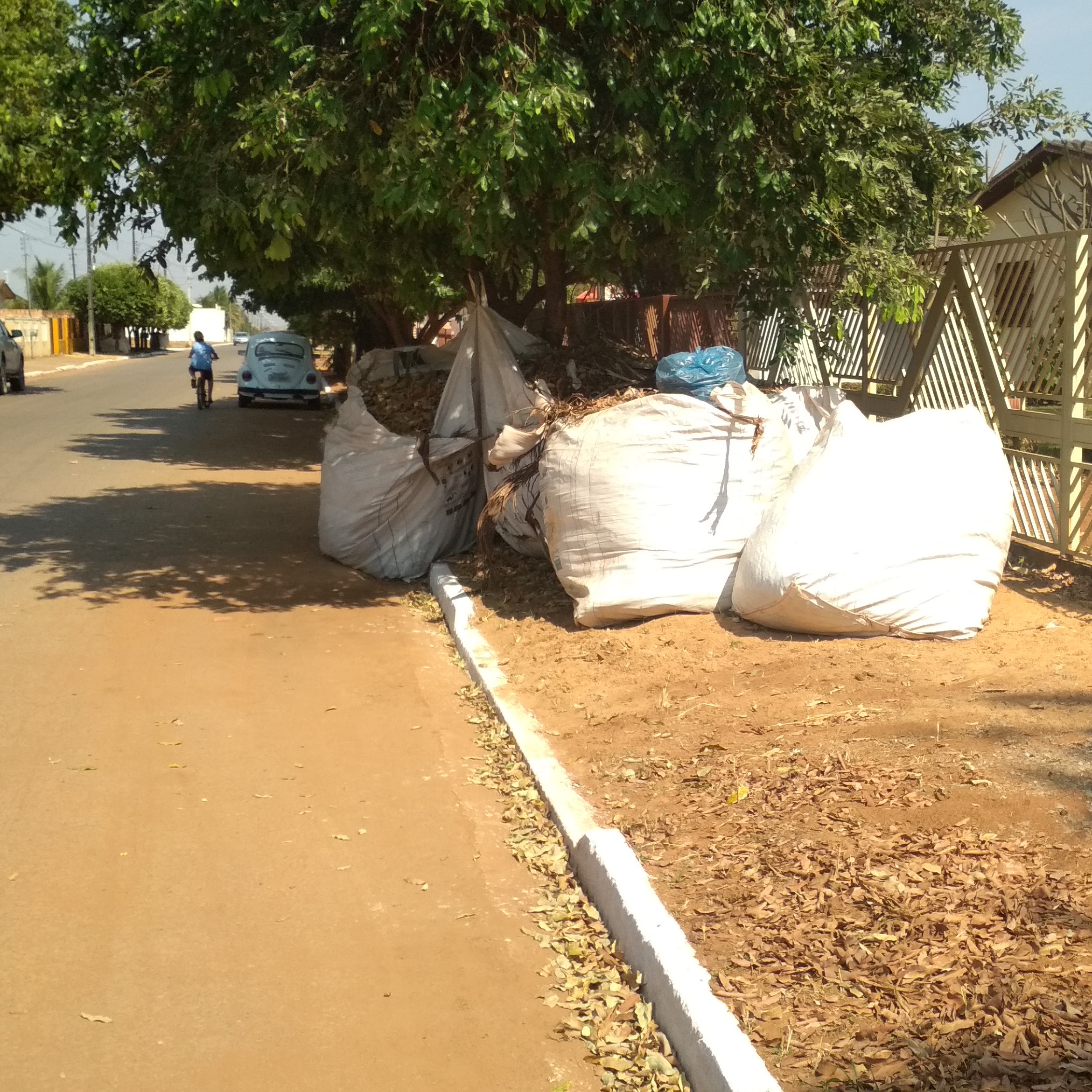Vereadores cobram o Poder Executivo sobre a limpeza urbana do município 