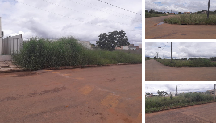 Vereador cobra o cumprimento da Lei de Roçada e Limpeza em terrenos baldios