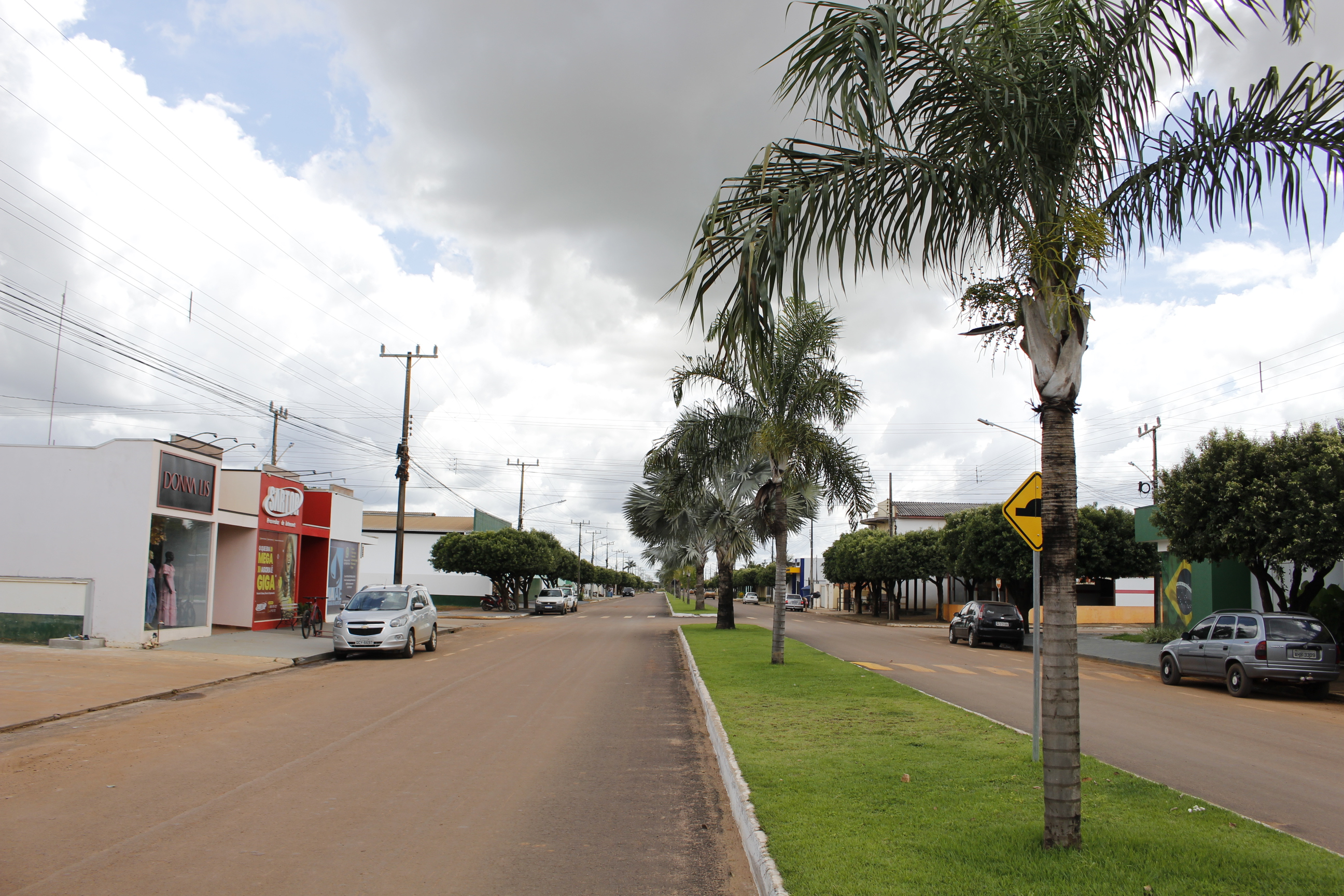 Vereador Fábio Tavares indica necessidade de melhorar a arborização urbana e os cuidados com os lotes baldios