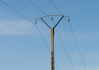 Vereador Strada solicita retirada de postes em fazenda