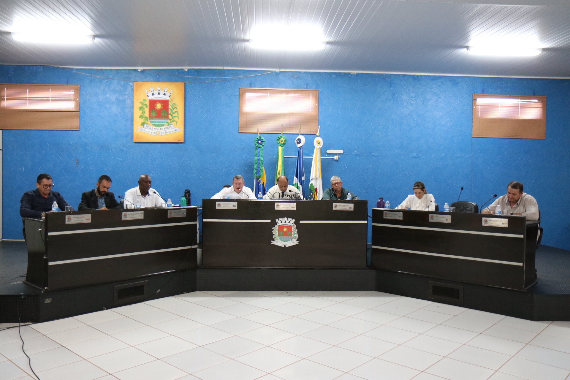 Vereadores pedem parquinho infantil para o Parque das Emas e  reforma do Ginásio Municipal