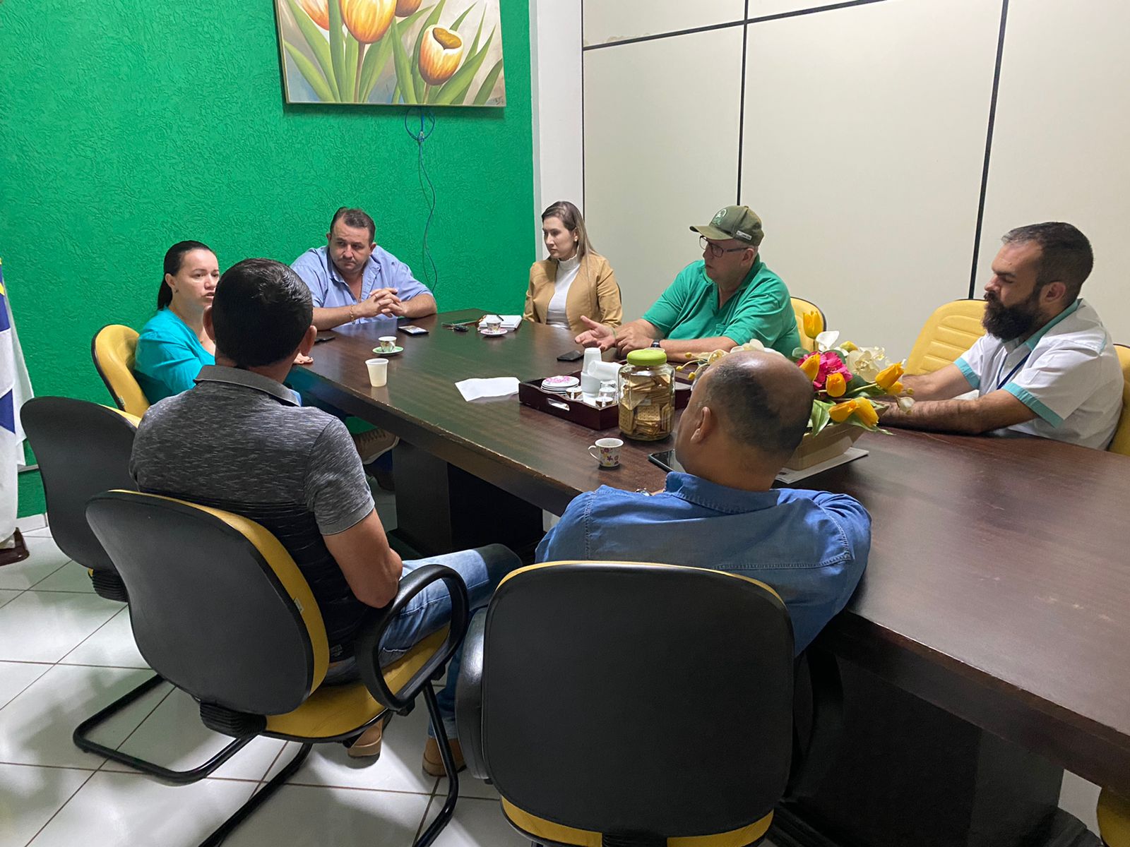 VEREADORES SE REÚNEM COM SECRETÁRIA DE SAÚDE PARA DISCUTIR MELHORIAS PARA SAÚDE